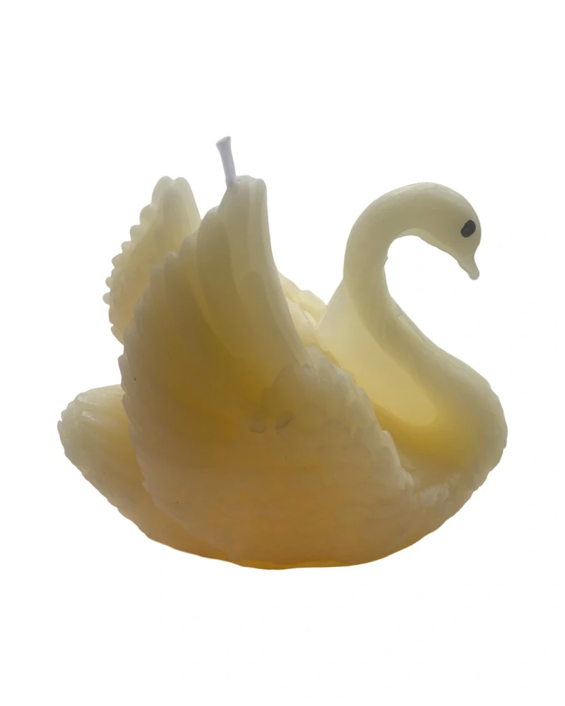 labuť