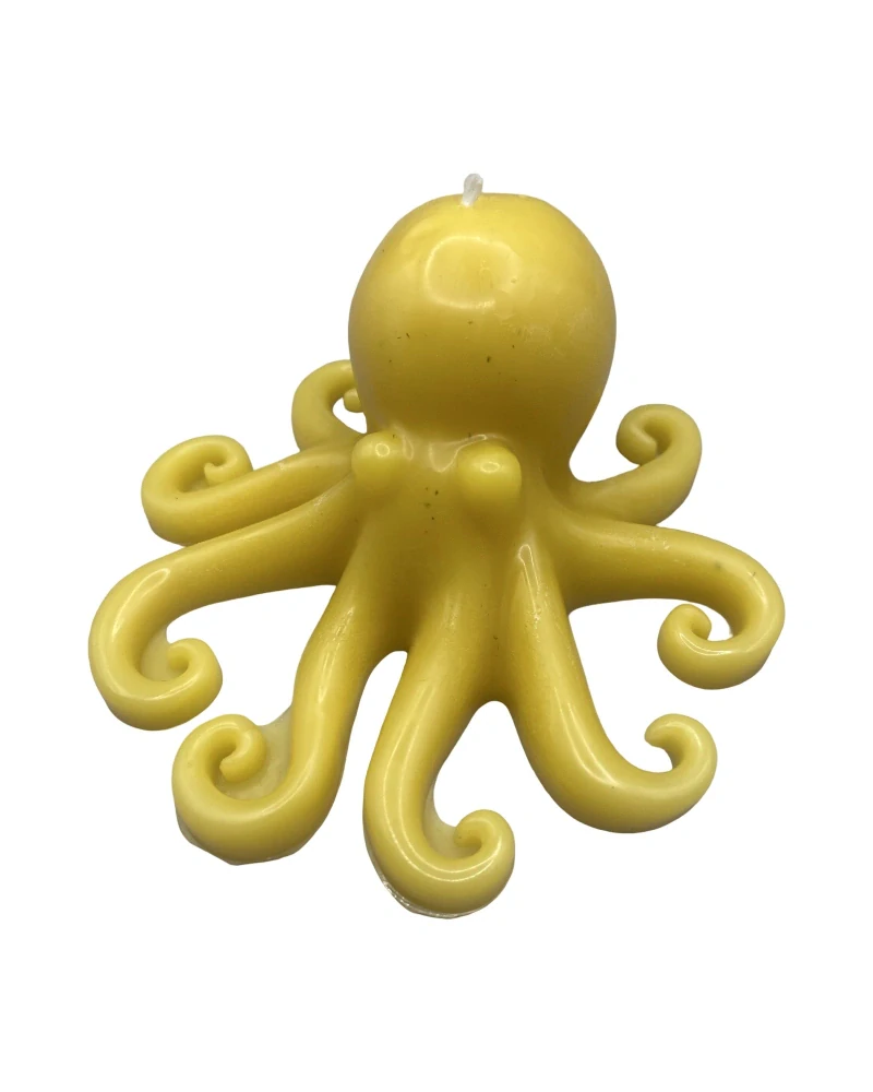 chobotnice
